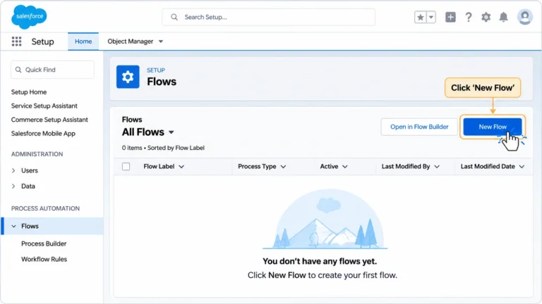Click New Flow in Salesforce