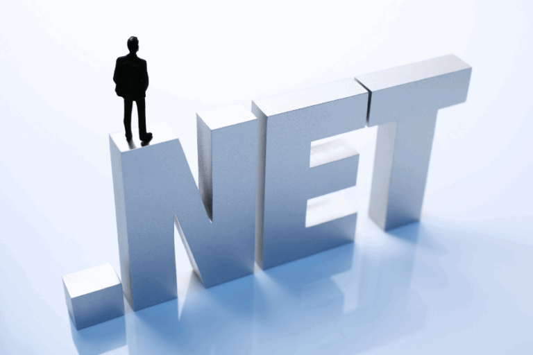 NET DEVELOPMENT SERVICE