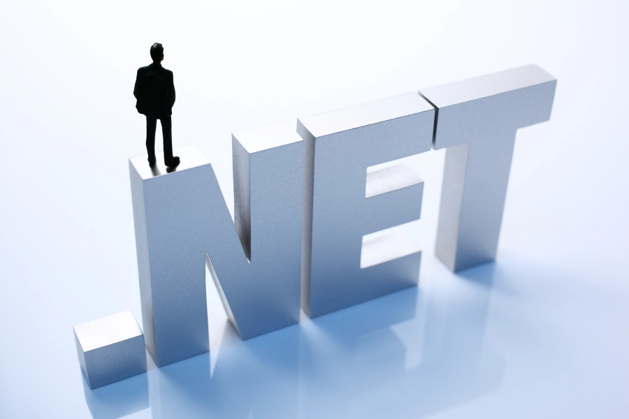 ASP.NET Core development services for scalable web applications